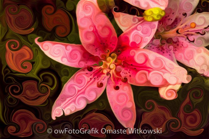 Pretty in Pink Omaste Witkowski owfotografik.com
